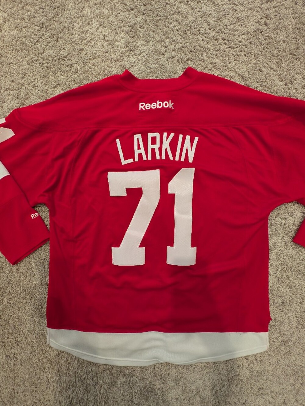 Dylan Larkin Jersey XL - Reebok. Only wore it a few times. Some snags in fabric